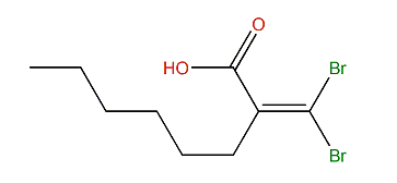 3,3-Dibromo-2-hexylacrylic acid